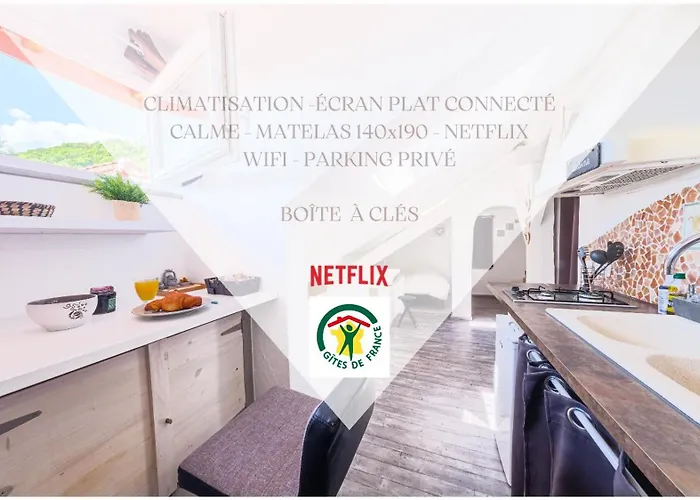 Studio Duplex Atypique, Classe Gite De France, Climatisation, Parking, Lit Double, Calme Et Cosy, Netflix, Wifi, 400M Centre, Boite A Cles, Gites La Tarine